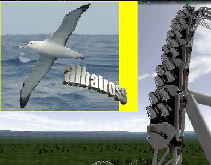 albatross 1