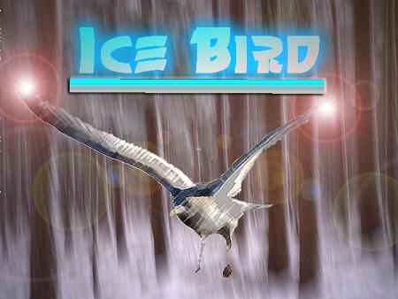 Bewertungsfile Ice Bird
